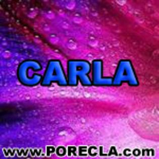 530-CARLA%20ingineru - Poze Carla