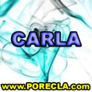 530-CARLA%20manager - Poze Carla