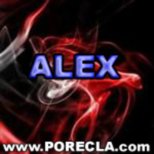107-ALEX%20director - Poze Alex