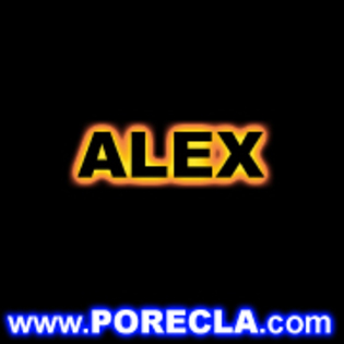 107-ALEX%20portocaliu - Poze Alex
