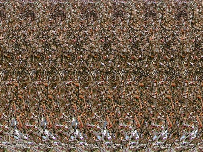 stereograms 027