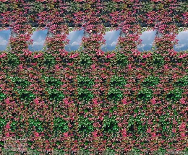 stereograms 074 - Poze 3D