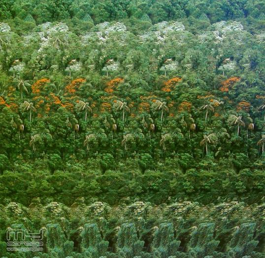 stereograms 091