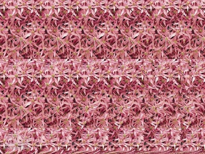 stereograms 096