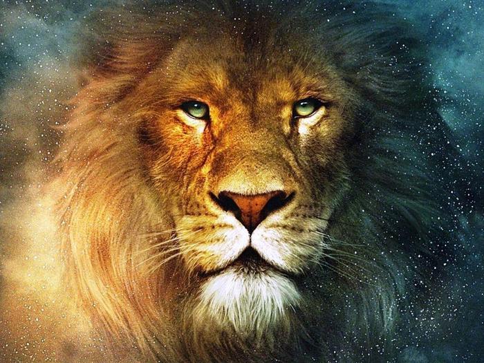 The_Lion1024_768 - Poze 3D