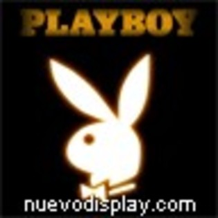 play- boy