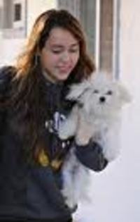 P49CAMEYVP5CAQWA8VRCAO0D3TKCA67F3UBCAUD4UBJCAJ928QXCACIA9C4CA1Y60OICAIZO34ICACA2Q0PCAL9P89LCAJUZ005C - miley cyrus