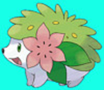 3290403749_e4492ec444_t - pokemon