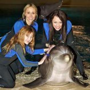 MGIZZFBRYQSQPVANYXD - miley cyrus