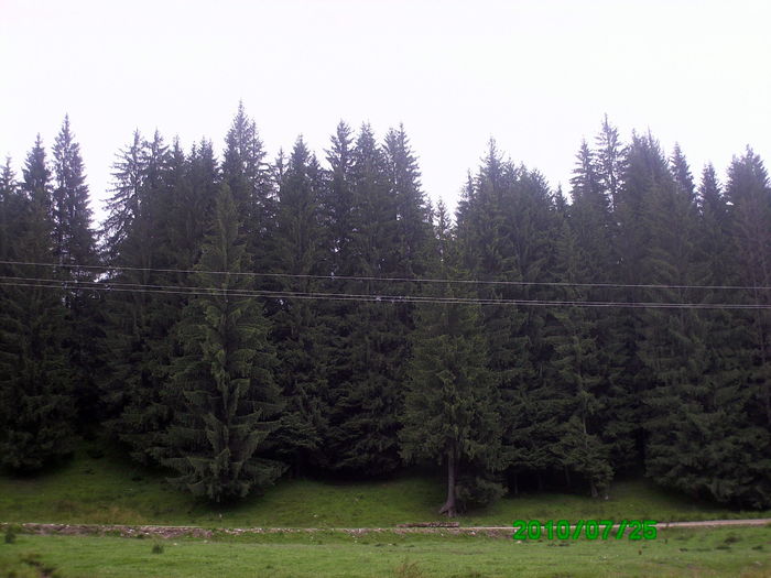 IMG_0099 - valsani  2010