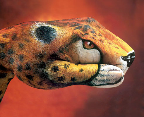 guido-daniele-illusion-02-ss