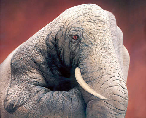 guido-daniele-illusion-06-ss