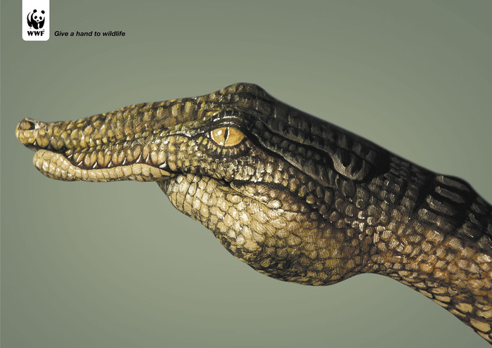 WWFCrocodile - Picturi pe corp de Guido Daniele