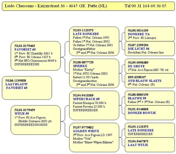 Pedigree ultima achizitie - Pedigree