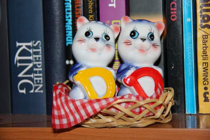 Salt and pepper shakers