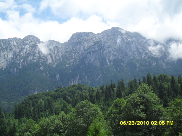 SDC12087; piatra craiului
