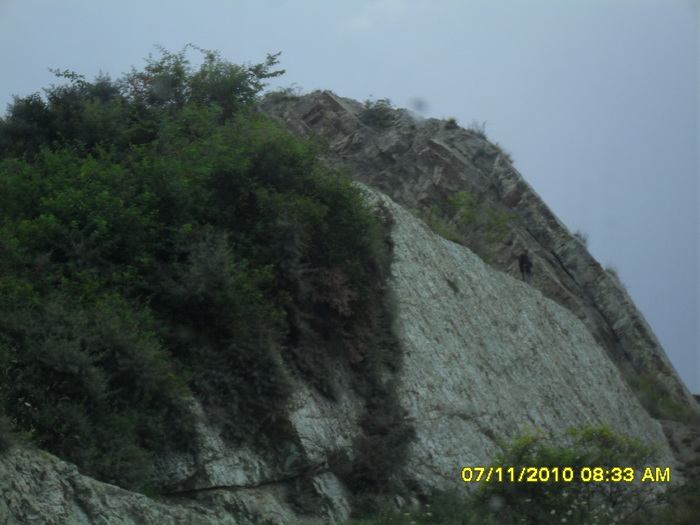 SDC12118; muntele ....verde de la slanic
