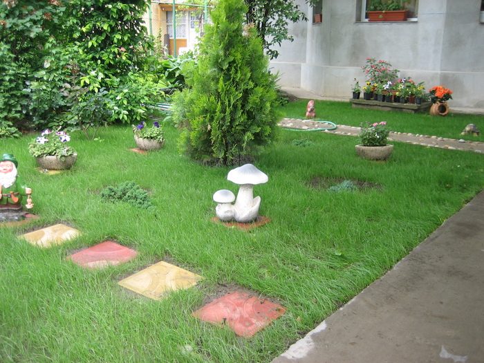 Poze flori 039
