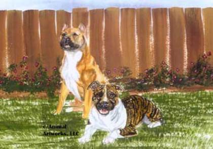 amstaff~2[1]