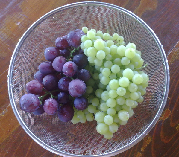 Cardinal si Perletta-28 iulie - RECOLTE