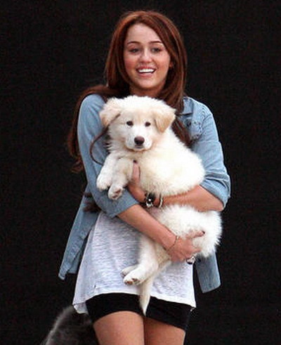 thumb_size1; miley si catelul
