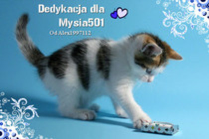 MeMileyMeCool,selenademibalonashultaucoolselenaxx(ocupat)