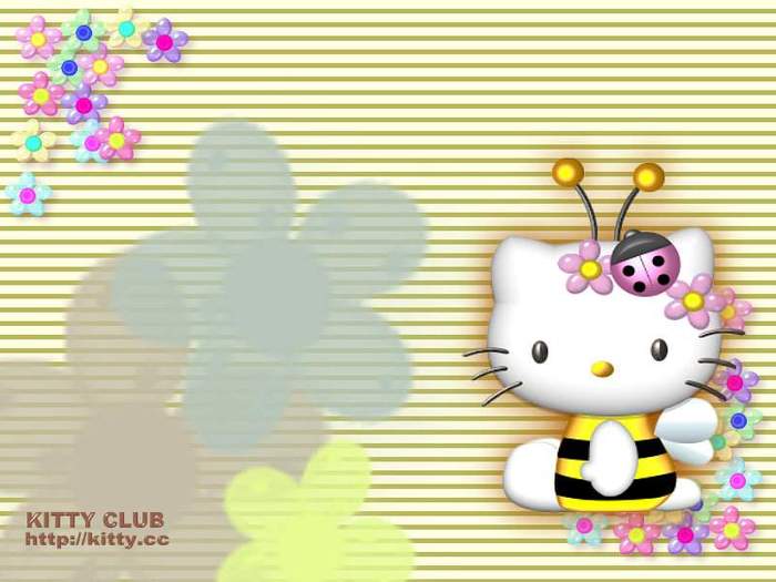 hello_kitty_wallpaper_bee_800x600 - Wallpaper Hello Kitty