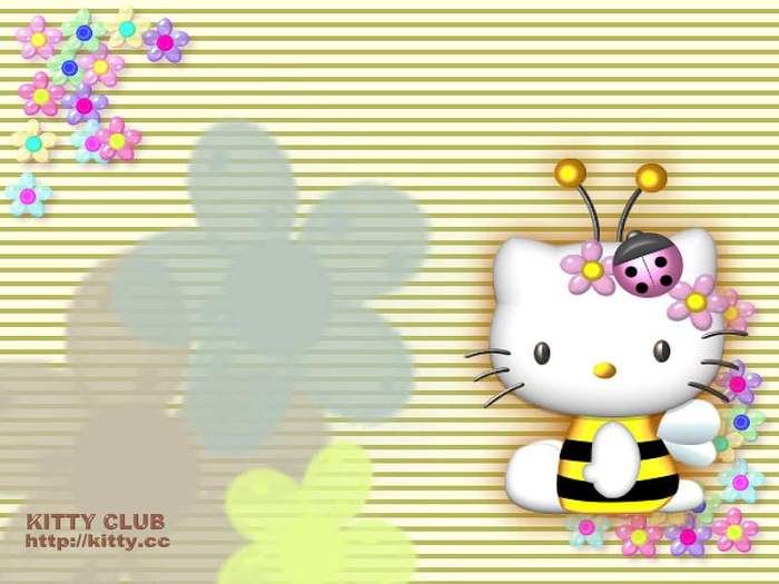 hello_kitty_wallpaper_bee_800x600