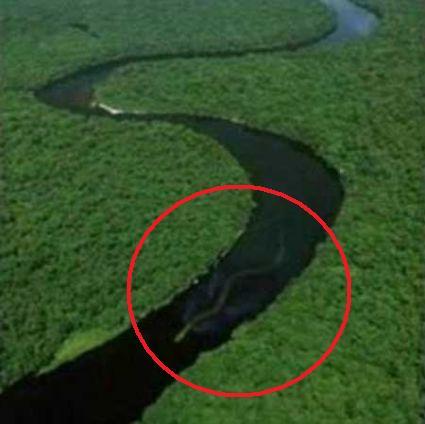Borneo_Monster