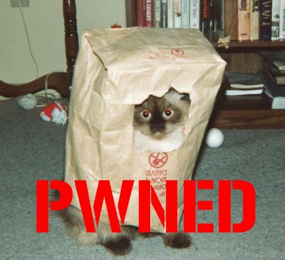 pwned_cat1