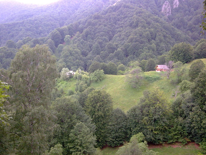 Manastirea Patrunsa - Manastirea Patrunsa - Valcea