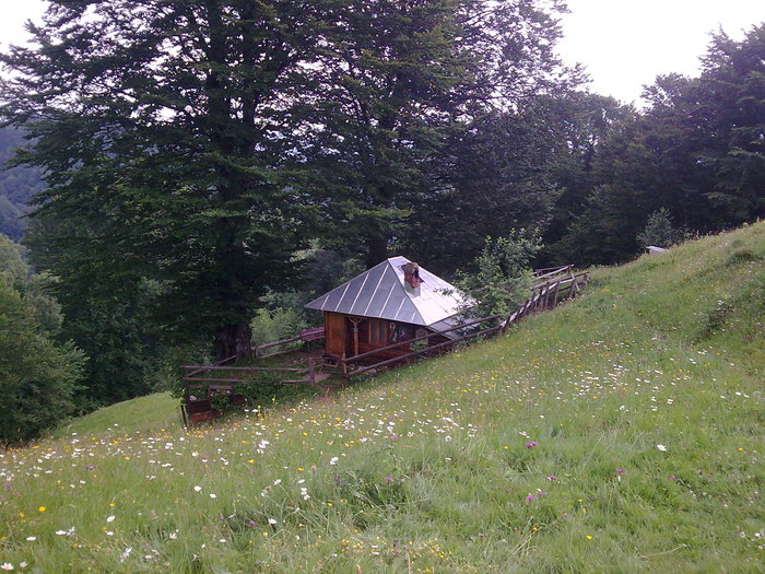 Manastirea Patrunsa din judetul Valcea. - Manastirea Patrunsa - Valcea