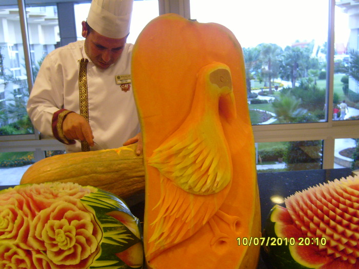 S7002453 - 2010 Turcia