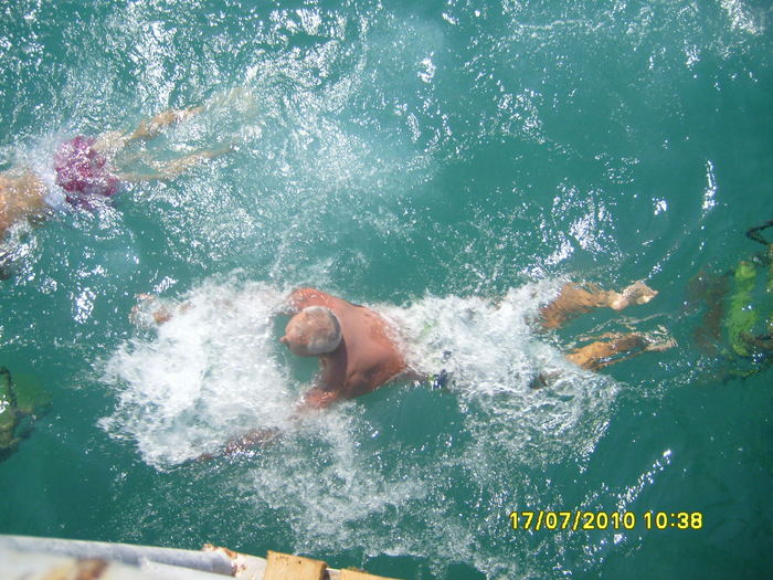 S7002606 - 2010 Turcia