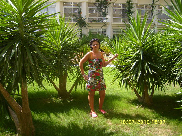 S7002621 - 2010 Turcia