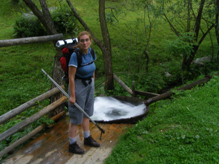 DSCF1396 - 9 10 iulie 2010 Rodnei Pietrosul 2303 m