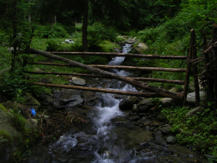 DSCF1428