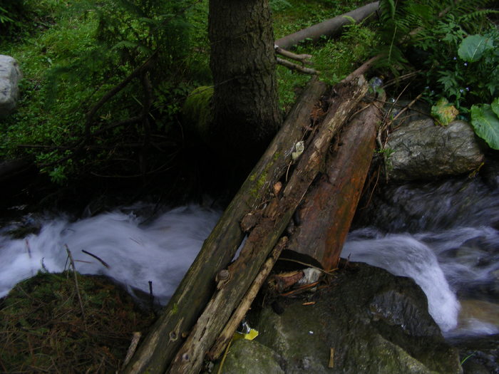 DSCF1429
