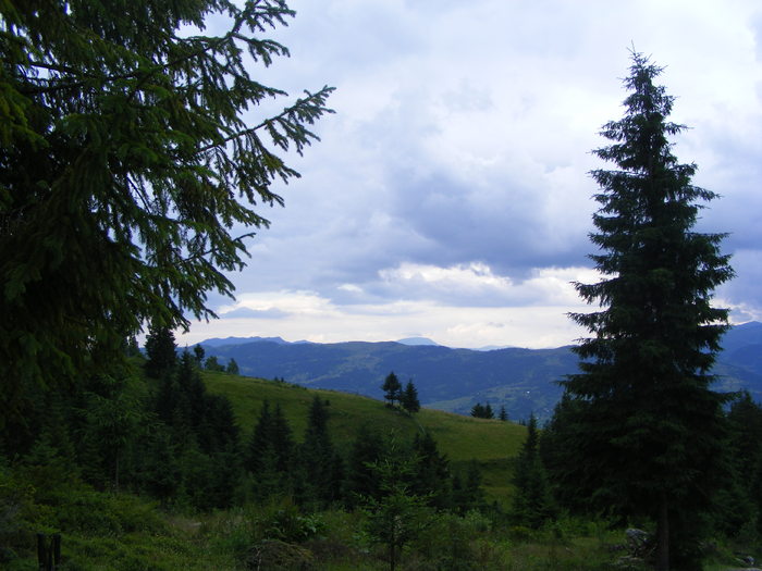 DSCF1446