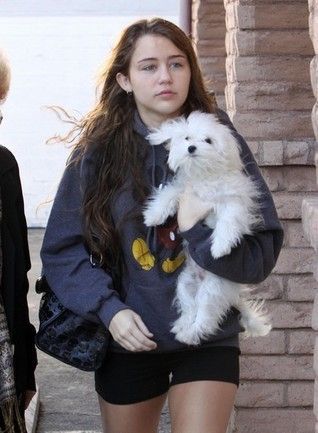 miley-cyrus-si-adorabila-ei-catelusa-sophie_4