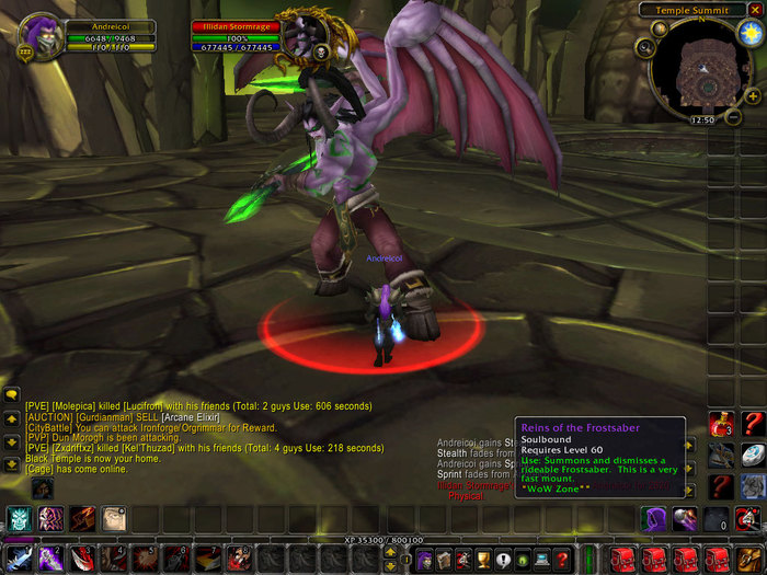 WoWScrnShot_060810_204005