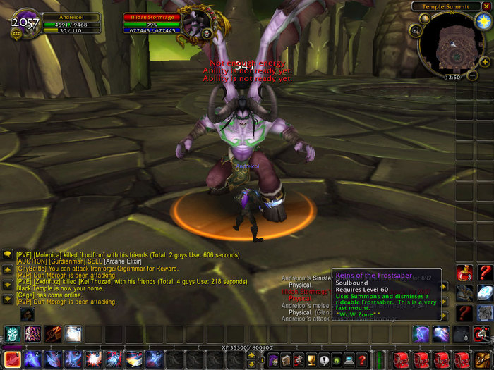 WoWScrnShot_060810_204011