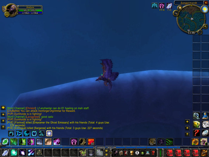 WoWScrnShot_061210_203654 - world of worcraft