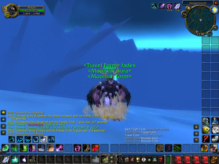 WoWScrnShot_061210_203704 - world of worcraft