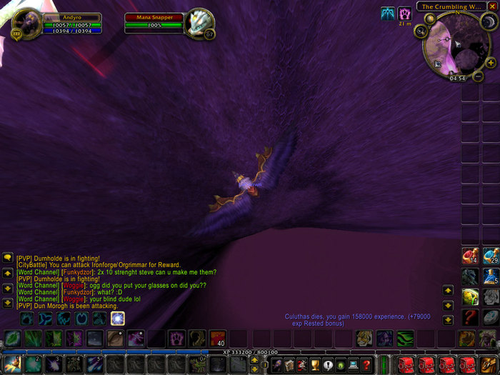 WoWScrnShot_061310_204341 - world of worcraft