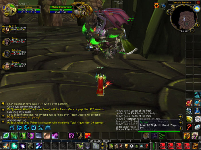 WoWScrnShot_061310_222233 - world of worcraft