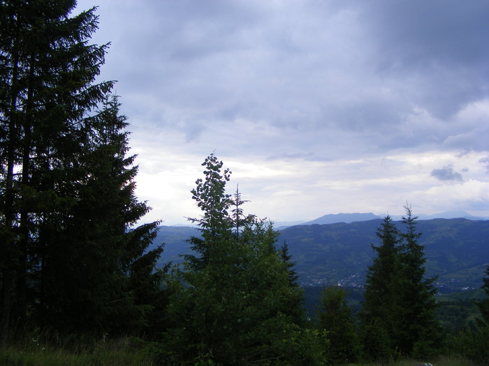 DSCF1451
