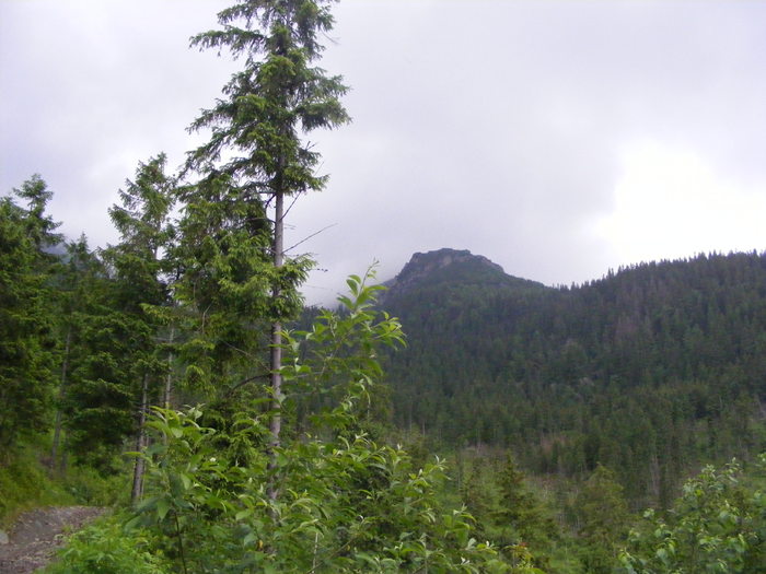 DSCF1458