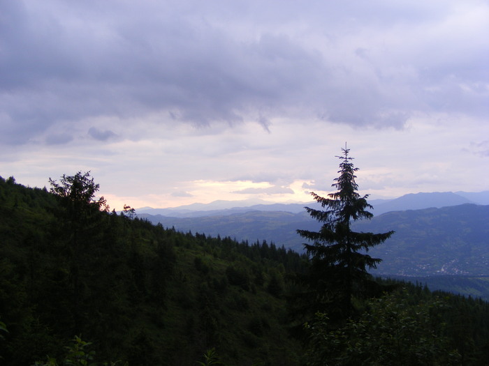 DSCF1459