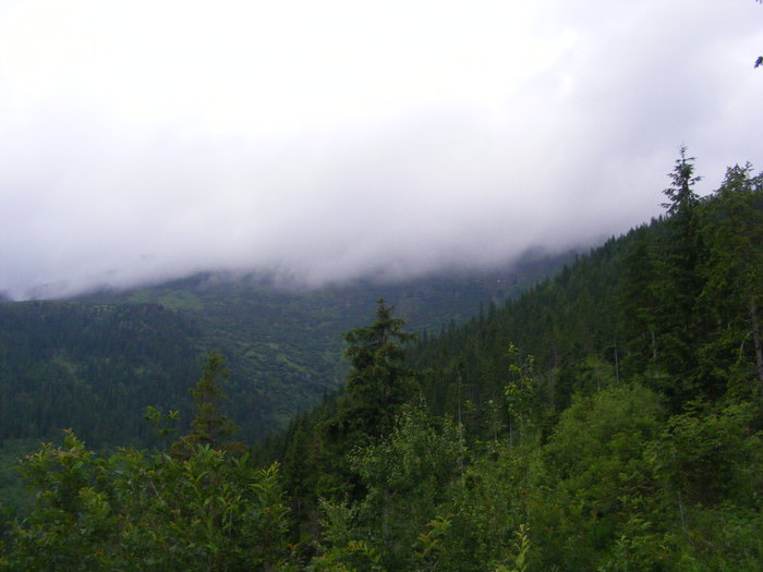 DSCF1464